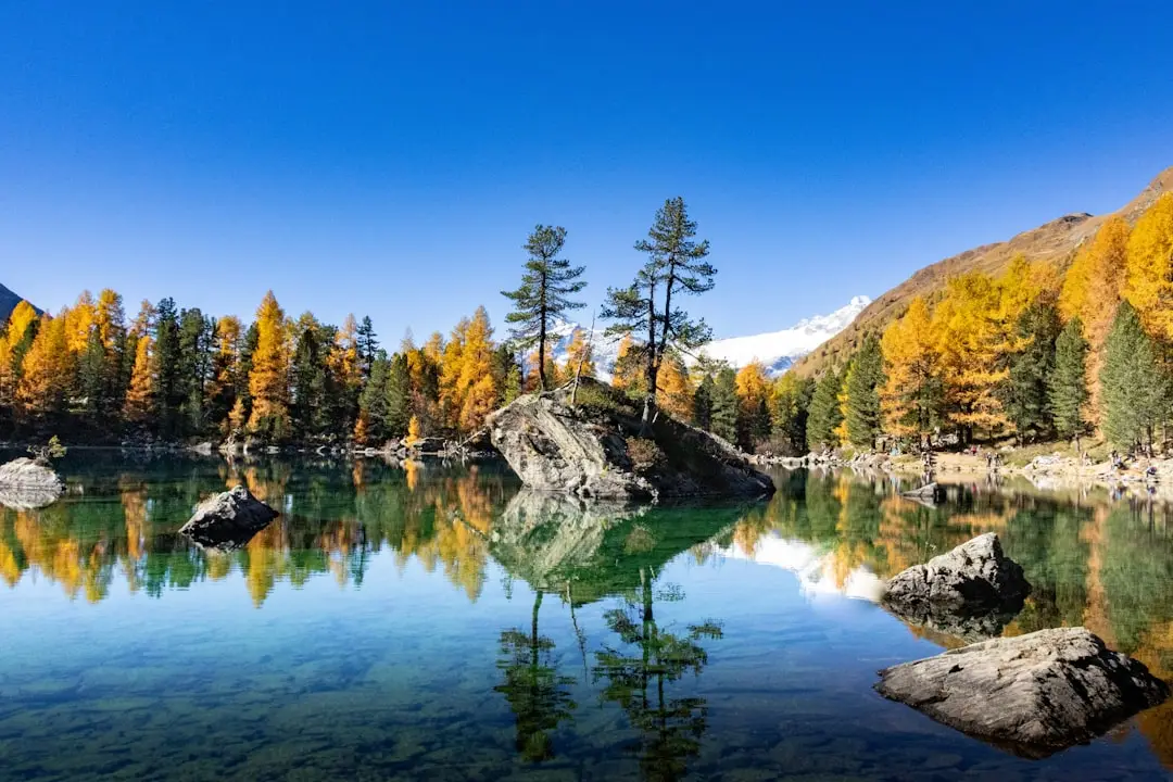 网站建设行业最新技术趋势及其在地方企业中的应用前景